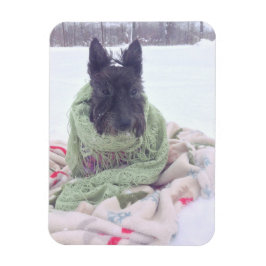 Sneeuw Scottie Magneet