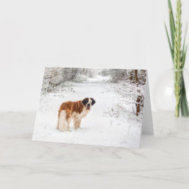 Sneeuw Sneeuwfotografie kerstcadeautje Feestdagen Kaart