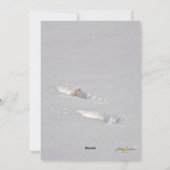 Sneeuw Sneeuwhond Ontwerp Feestdagenkaart (Achterkant)