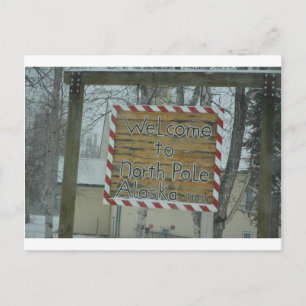 Sneeuw Sneeuwvlokje Bevroren Weer Noordpool Alaska Briefkaart