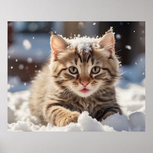 *~* Sneeuw Spelen Kat 5:4 Kitten Cat AP68 Poster (Voorkant)