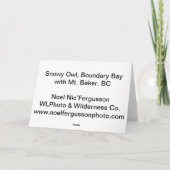 Sneeuw Uil, de Baai van de Grens, Mt. Baker, BC Feestdagen Kaart (Achterkant)
