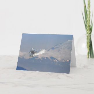 Sneeuw Uil, de Baai van de Grens, Mt. Baker, BC Feestdagen Kaart