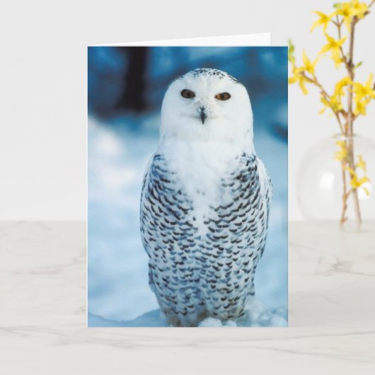 Sneeuw Uil Kaart (Gele Bloem)