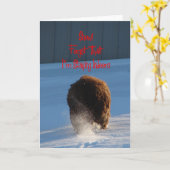 Sneeuw! Vergeet dat! Ik blijf binnen, schapen Kaart (Gele Bloem)