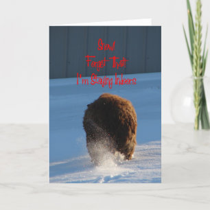 Sneeuw! Vergeet dat! Ik blijf binnen, schapen Kaart