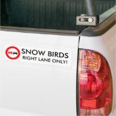 Sneeuw Vogels Bumpersticker (Op Truck)