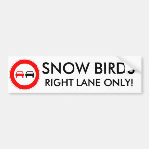 Sneeuw Vogels Bumpersticker