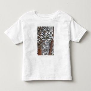 Sneeuw vult de takken van ponderosa-dennen kinder shirts