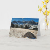 Sneeuw Waaier Kaart (Gele Bloem)