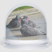 Sneeuw Wereldbol - Duiven Sneeuwbol (Voorkant)