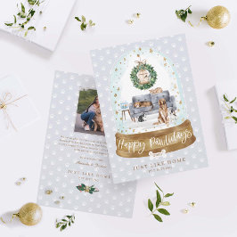 Sneeuw Wereldbol Grijze Couche Home Pet Sitting Bu Feestdagenkaart