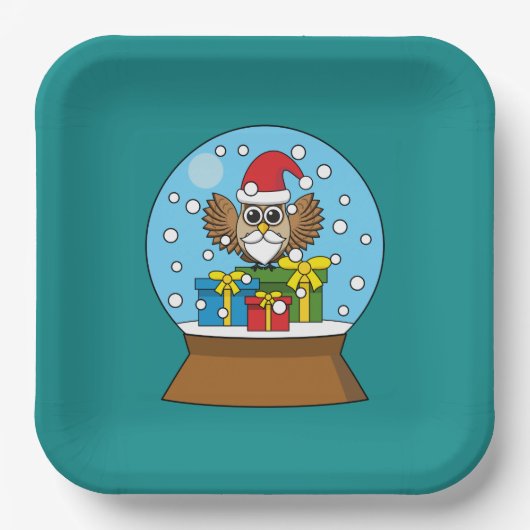 Sneeuw Wereldbol met Sinterklaas Uil Papieren Bordje (Voorkant)