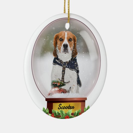  sneeuw wereldbol Pet Ornament (Rechts)