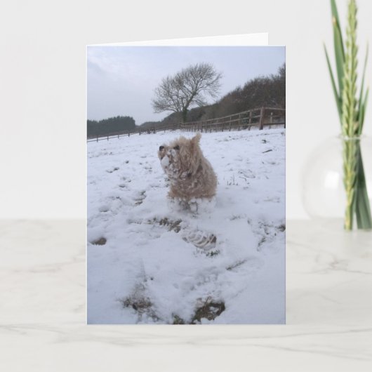 Sneeuw Westie Feestdagen Kaart (Voorkant)