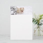 Sneeuw Westie Hond Fotobriefpapier Papier (Staand voorkant)