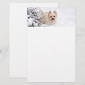 Sneeuw Westie Hond Fotobriefpapier Papier (Voorkant / Achterkant)
