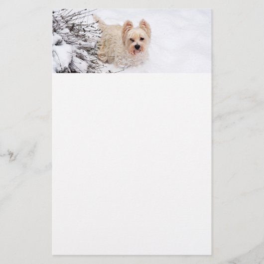 Sneeuw Westie Hond Fotobriefpapier Papier (Voorkant)