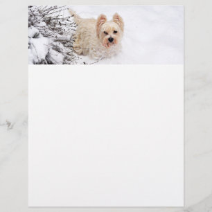 Sneeuw Westie Hond Fotobriefpapier Papier Briefhoofd