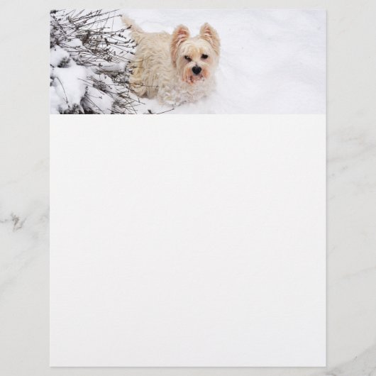 Sneeuw Westie Hond Fotobriefpapier Papier Briefhoofd (Voorkant)