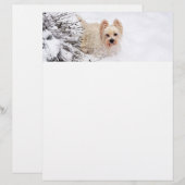 Sneeuw Westie Hond Fotobriefpapier Papier Briefhoofd (Voorkant / Achterkant)