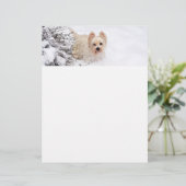 Sneeuw Westie Hond Fotobriefpapier Papier Briefhoofd (Staand voorkant)