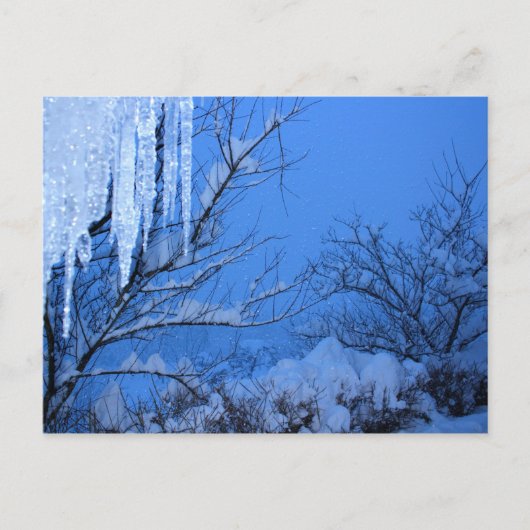 sneeuw - winter briefkaart (Voorkant)