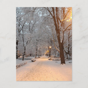 Sneeuw Winter Wenskaart Feestdagenkaart