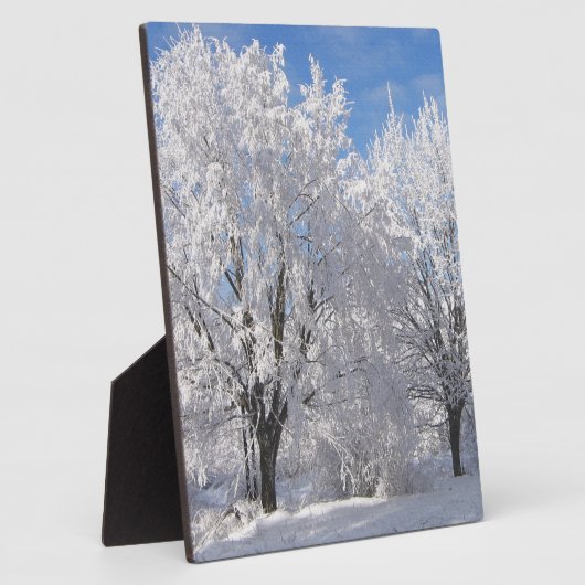 sneeuw , witte bomen in de winter fotoplaat (Zijkant)