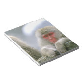 Sneeuwaapparen, Japanse Macaque, Notitieblok (Schuin)
