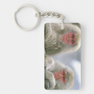 Sneeuwaapparen, Japanse Macaque, Sleutelhanger