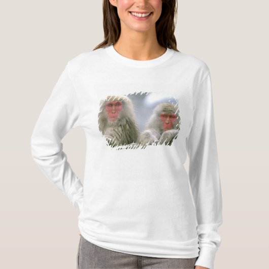 Sneeuwaapparen, Japanse Macaque, T-shirt (Voorkant)