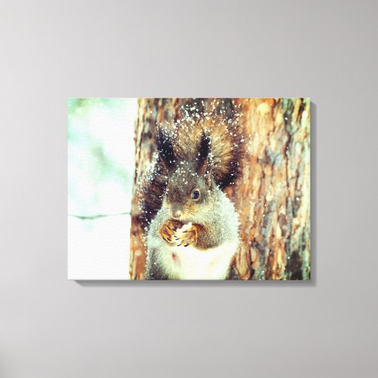 Sneeuwachtige eekhoorn canvas afdruk (Voorkant)
