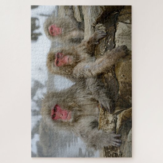 Sneeuwapen in Hot Spring Pool in Japan Legpuzzel (Verticaal)