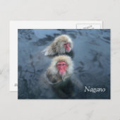 Sneeuwapen in Nagano, Japan Briefkaart (Voorkant / Achterkant)