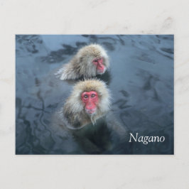 Sneeuwapen in Nagano, Japan Briefkaart