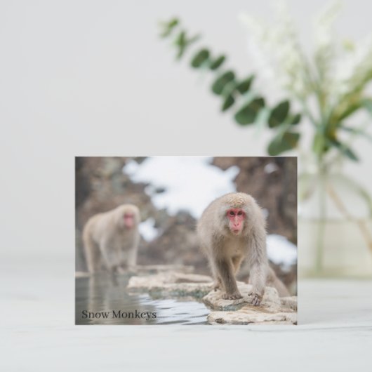 Sneeuwapen. Japan. Briefkaart (Staand voorkant)