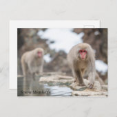 Sneeuwapen. Japan. Briefkaart (Voorkant / Achterkant)