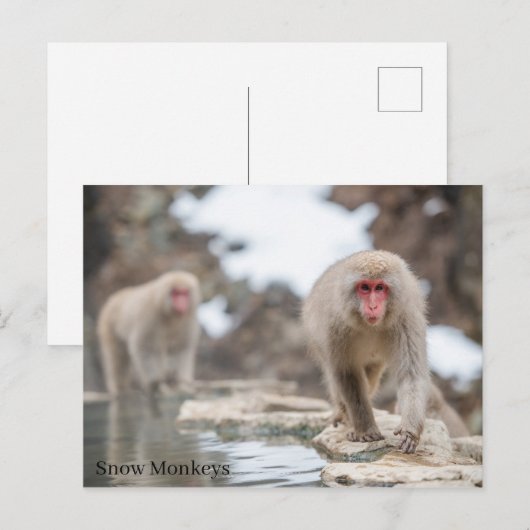 Sneeuwapen. Japan. Briefkaart (Voorkant / Achterkant)