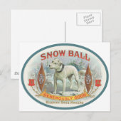 Sneeuwbal voor de hond briefkaart (Voorkant / Achterkant)