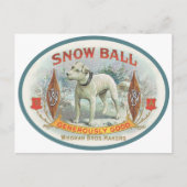 Sneeuwbal voor de hond briefkaart (Voorkant)