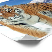 Sneeuwbalbergen Natuur Winter Foto Poster (Hoek)