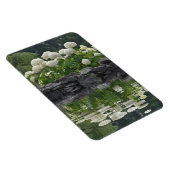 Sneeuwbalhortensia met reflecties magneet (Rechterzijde)