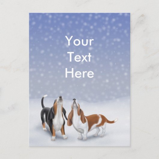 SneeuwbalkBriefkaart Briefkaart (Voorkant)