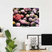 Sneeuwballen in roze en Paars door TDGallery Poster (Thuiskantoor)