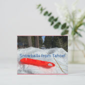 Sneeuwballen uit Tahoe! Briefkaart (Staand voorkant)