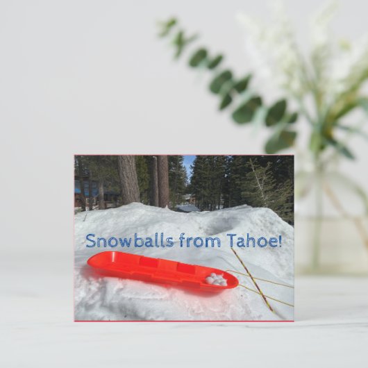 Sneeuwballen uit Tahoe! Briefkaart (Staand voorkant)