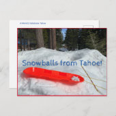 Sneeuwballen uit Tahoe! Briefkaart (Voorkant / Achterkant)