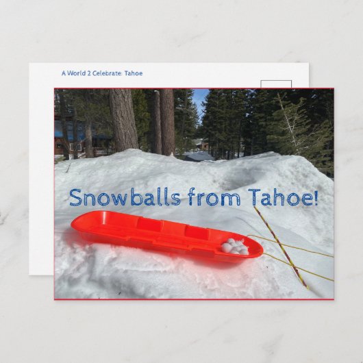 Sneeuwballen uit Tahoe! Briefkaart (Voorkant / Achterkant)