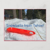Sneeuwballen uit Tahoe! Briefkaart (Voorkant)
